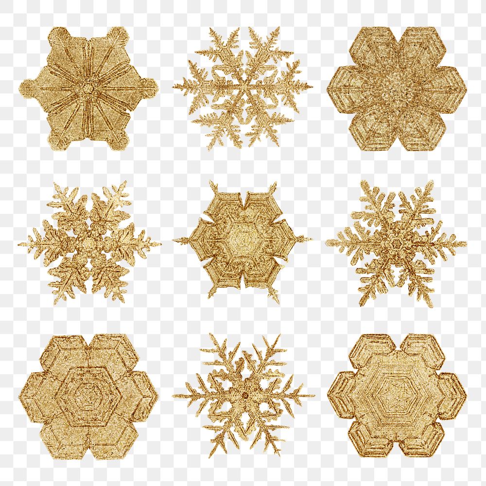 Christmas gold snowflake transparent set macro photography, remix of art by Wilson Bentley