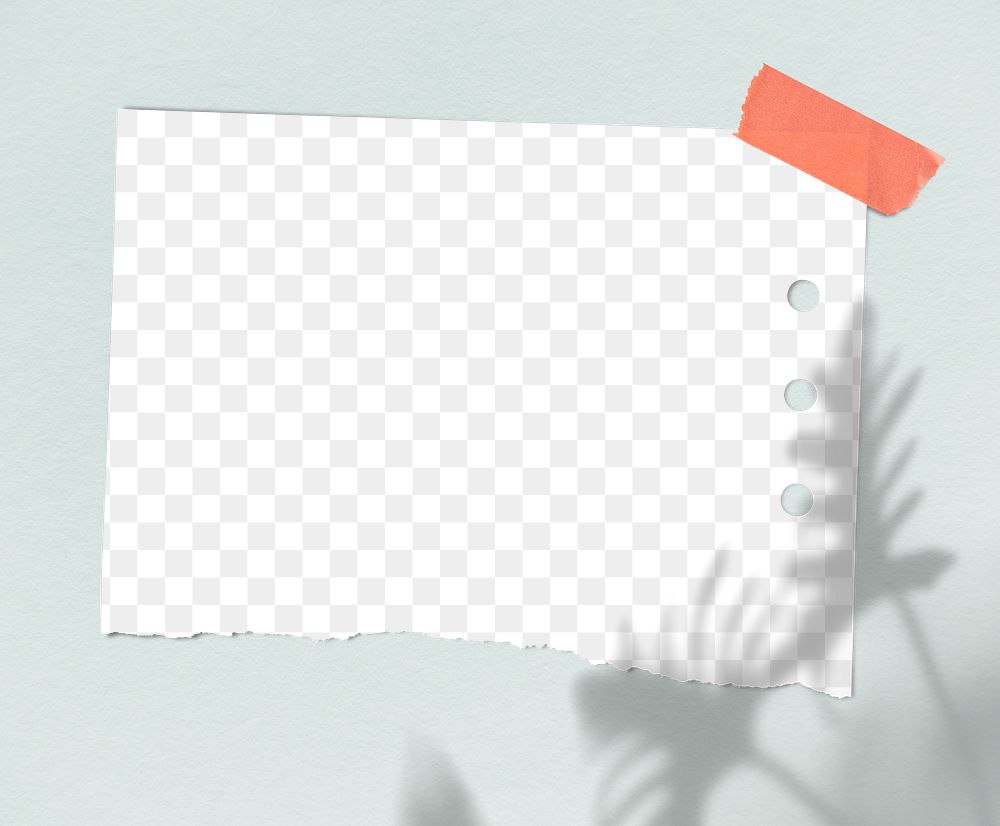 Blank paper with leaves shadow on a wall