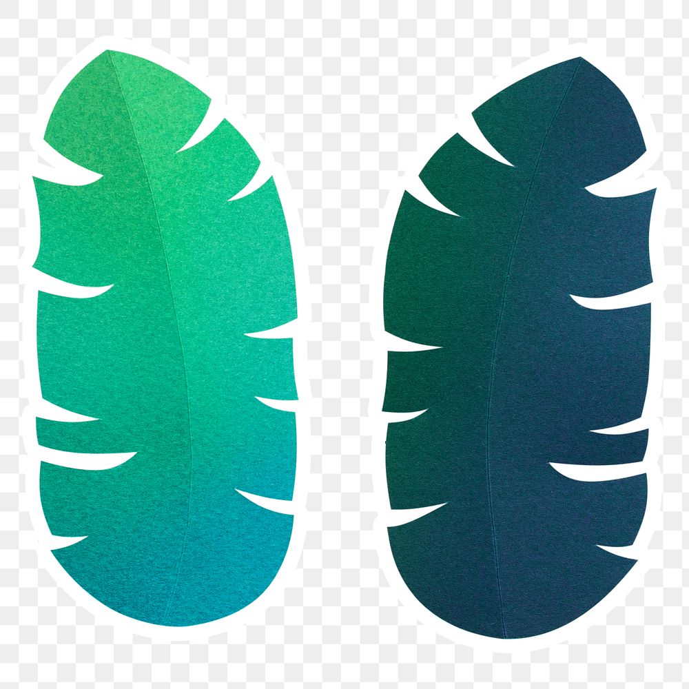 Palm leaves sticker paper craft png