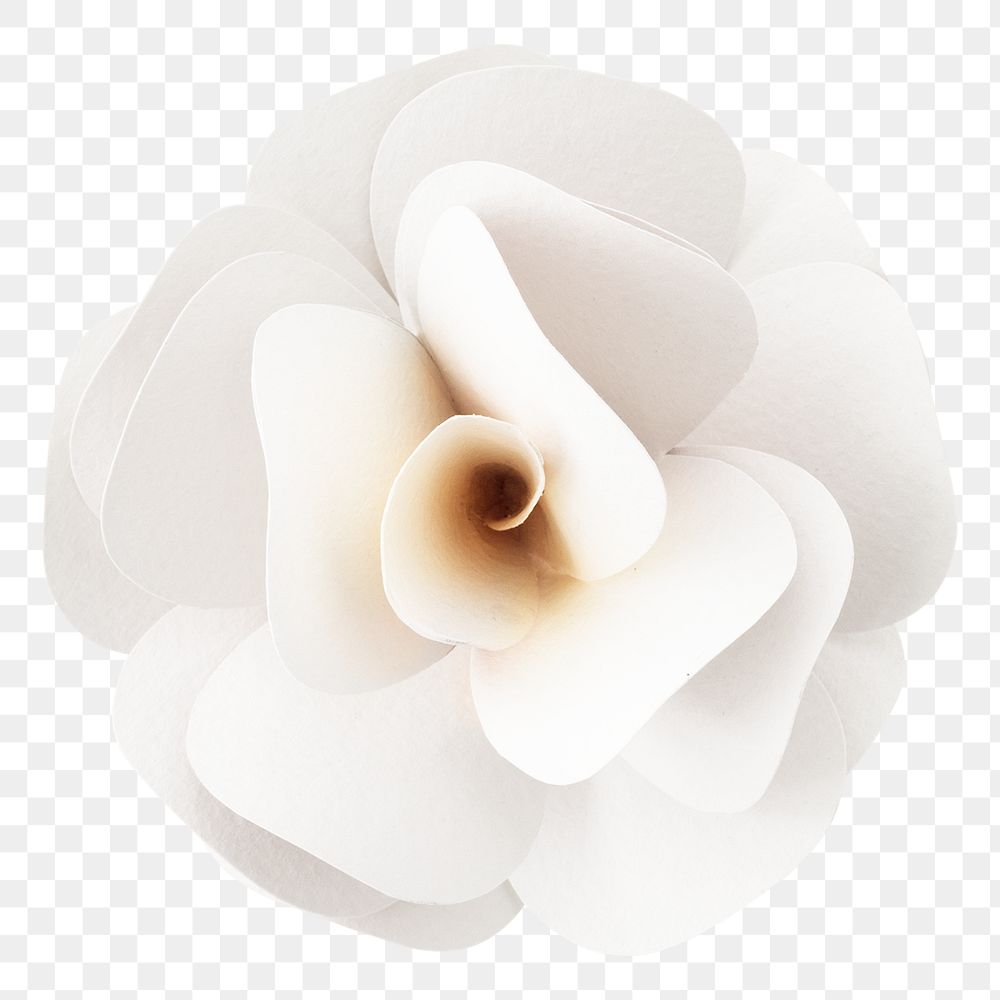White rose 3D papercraft flower