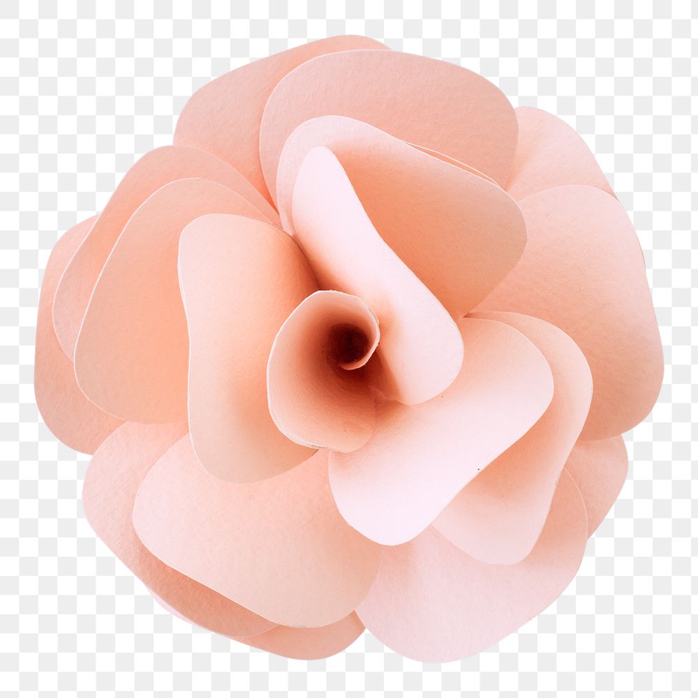 Rose png paper craft