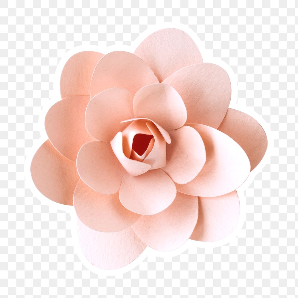 Camellia papercraft flower sticker png
