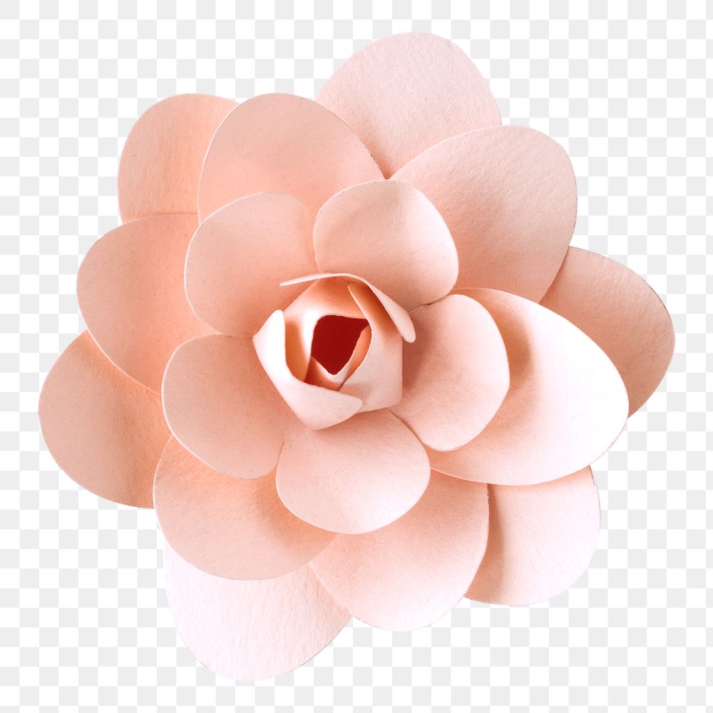 Camellia 3D papercraft flower png