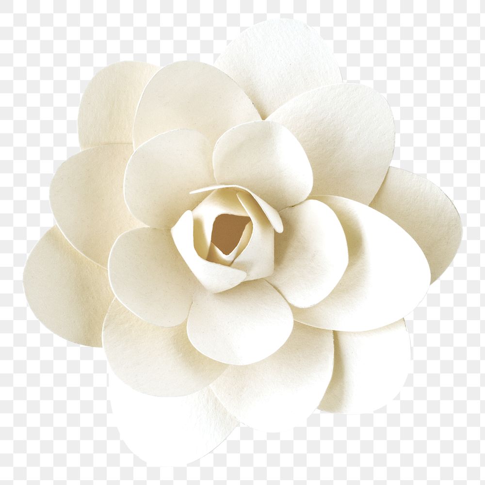 White camellia png paper craft