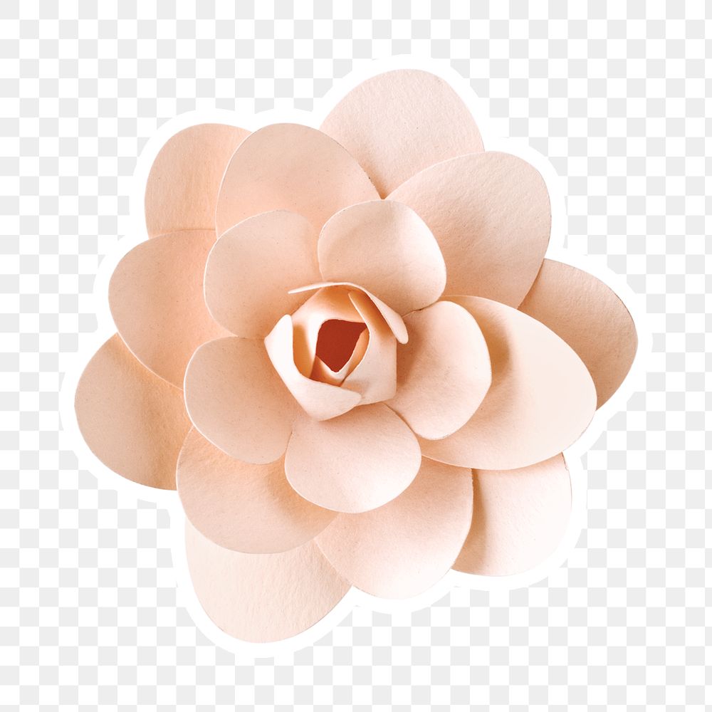 Camellia papercraft flower sticker png