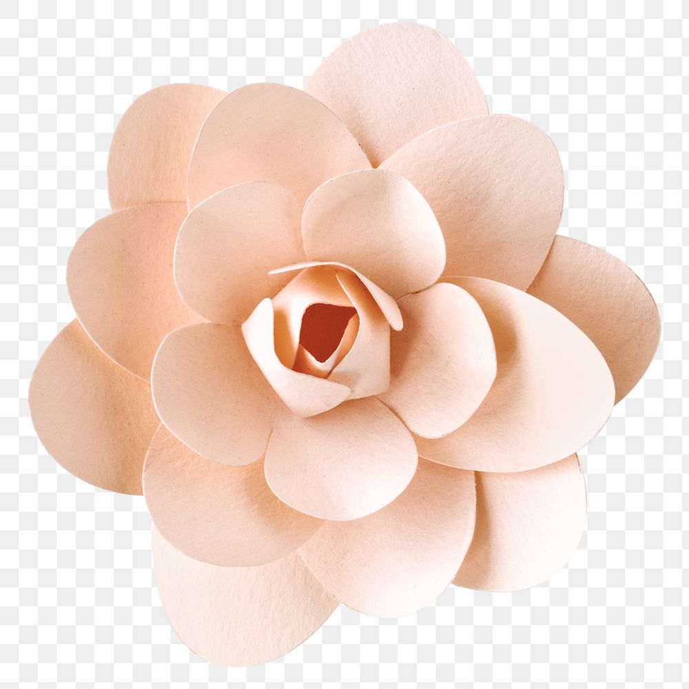 Camellia 3D papercraft flower png