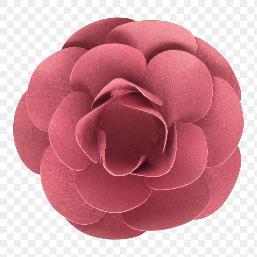 Red camellia flower 3D papercraft png