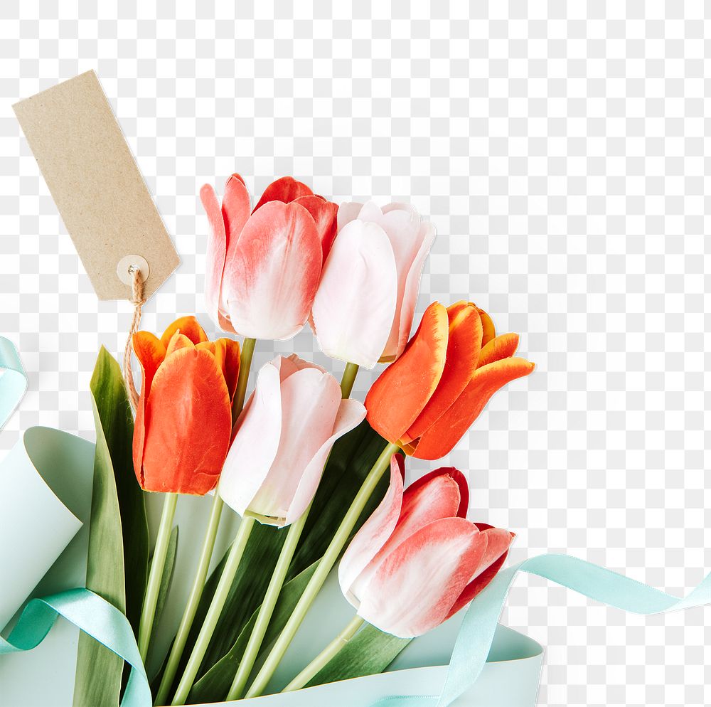 Bouquet of tulip flowers design element 