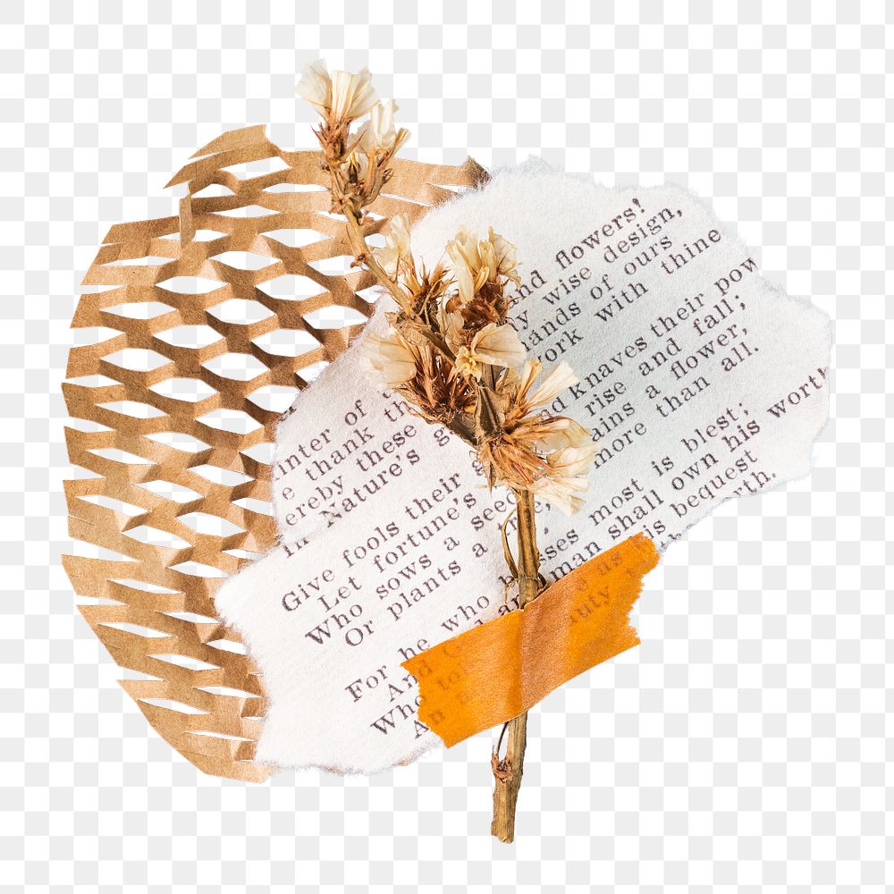 Png kraft ripped paper sticker, transparent background