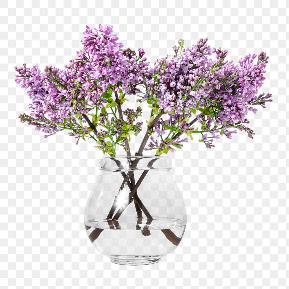 Lilac png, glass vase, isolated object, collage element design