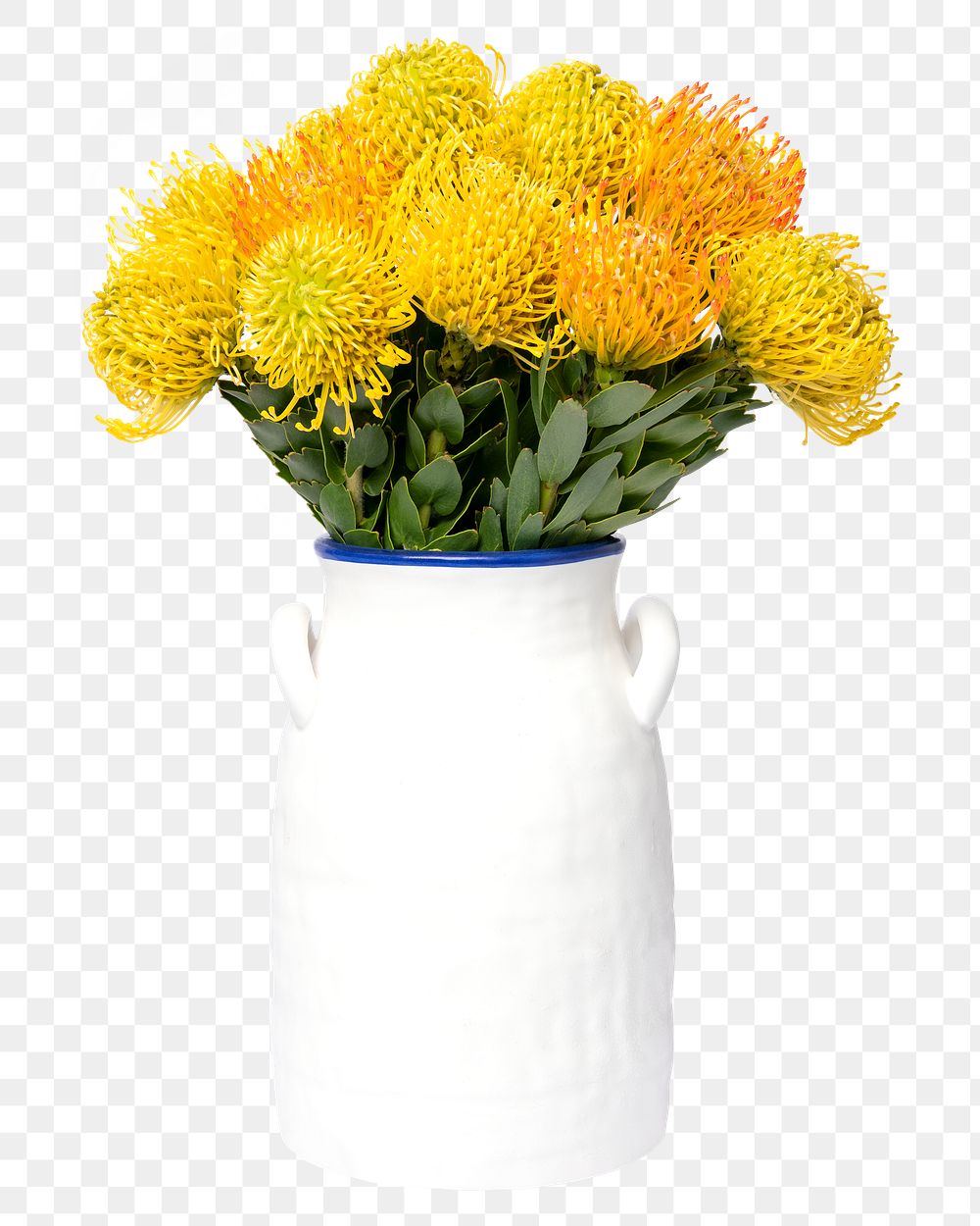 PNG yellow pincushion in white vase, isolated object, collage element design
