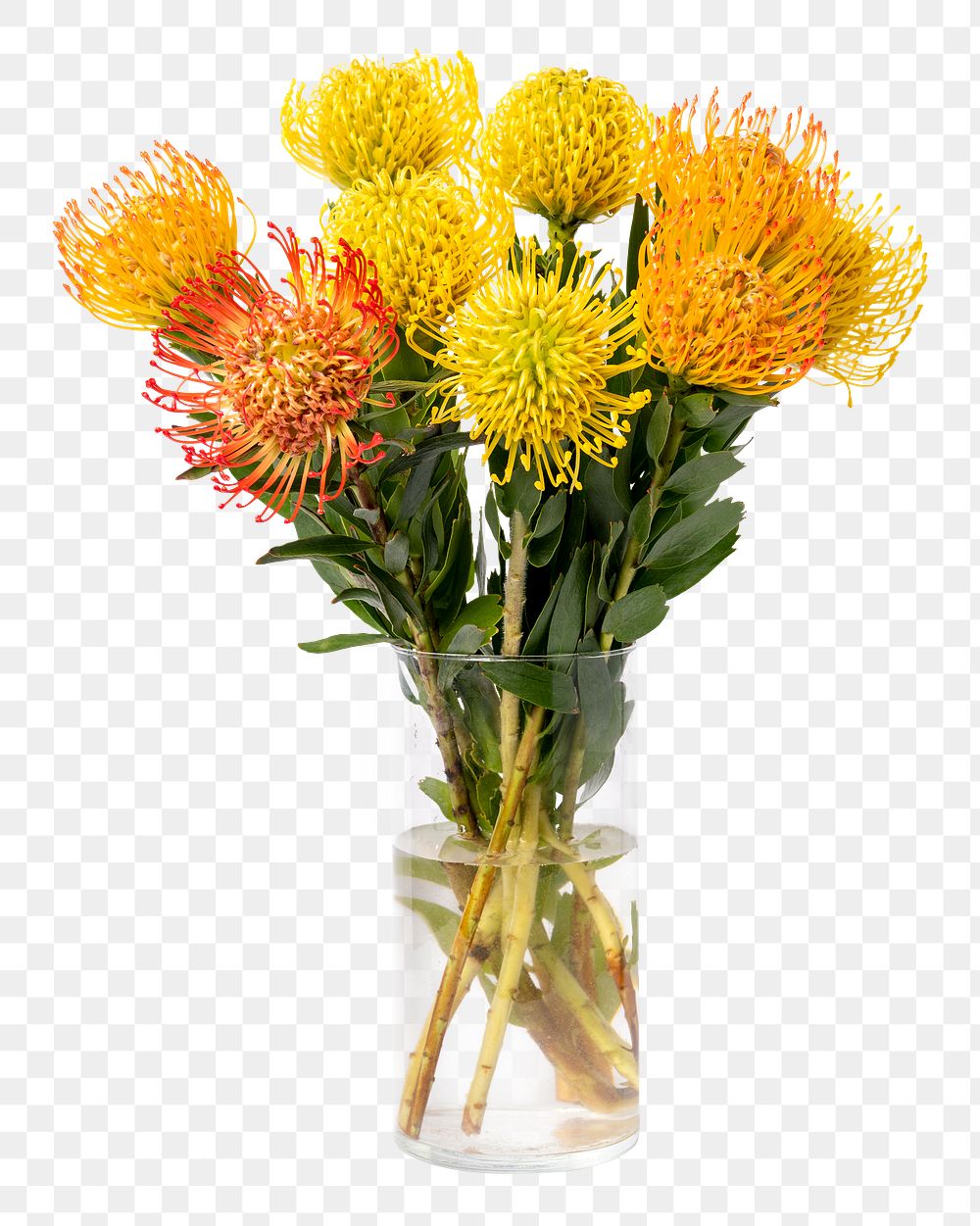 PNG pincushions in glass vase