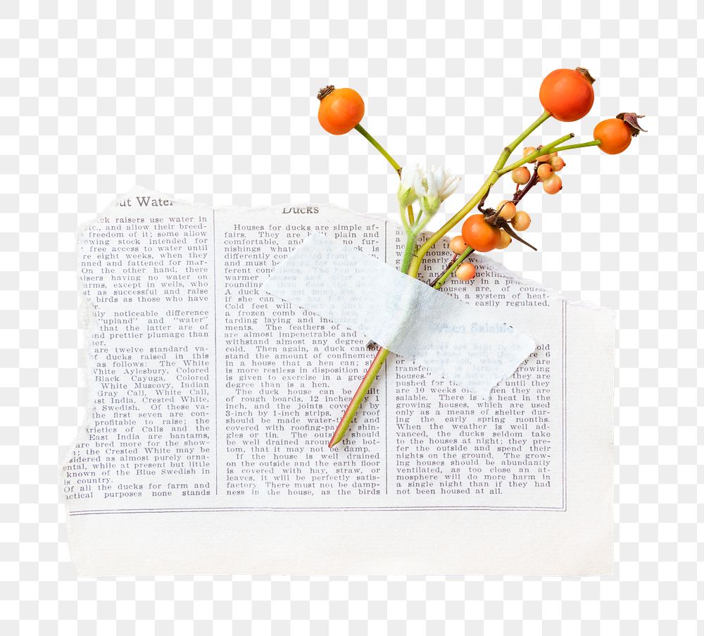 Yellow winterberry png, collage element