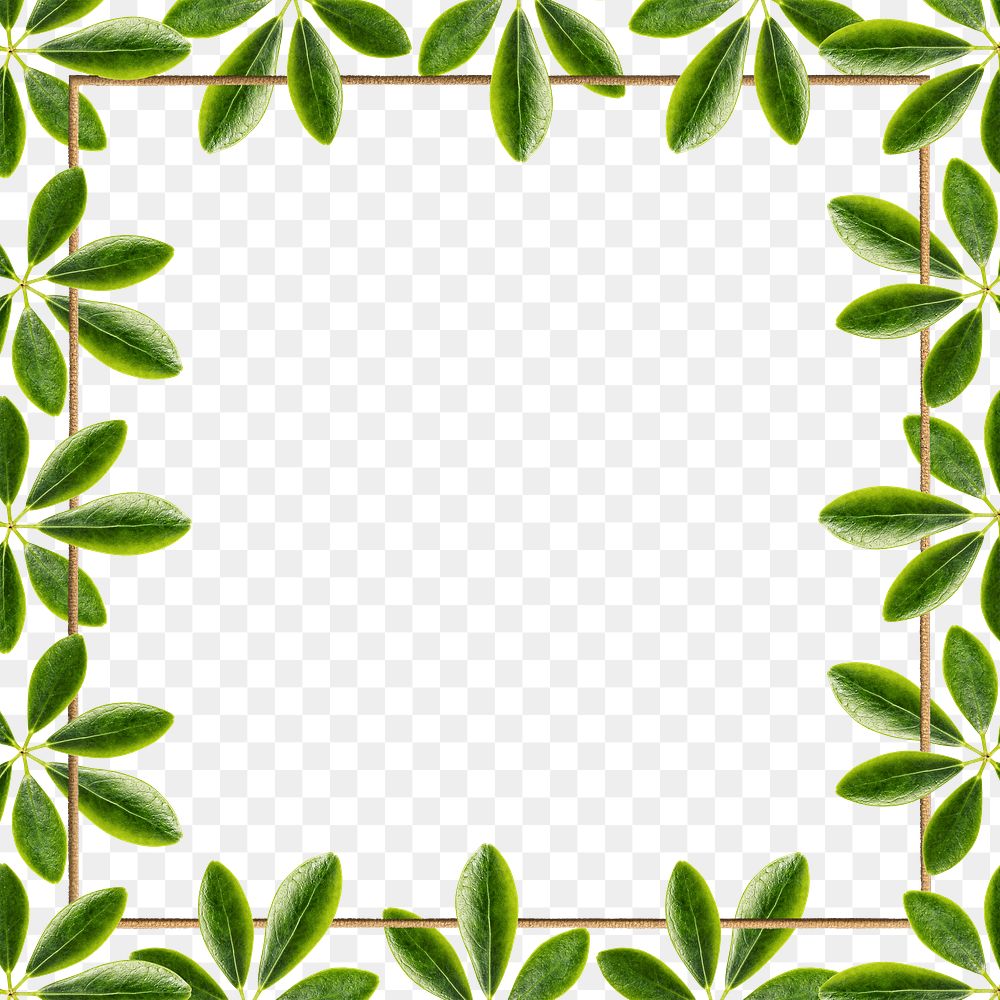 Green Leaves With Square Frame Design Element | Free Image By Rawpixel