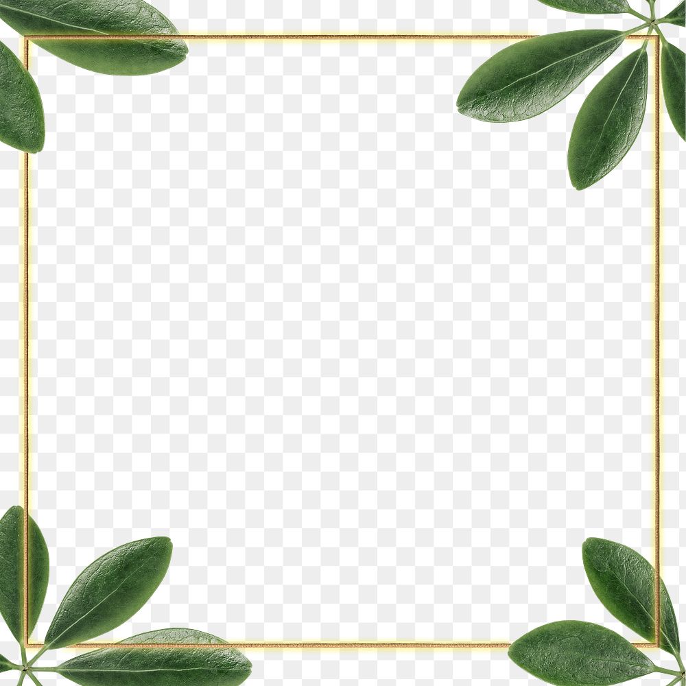 Green leaves with square frame design element