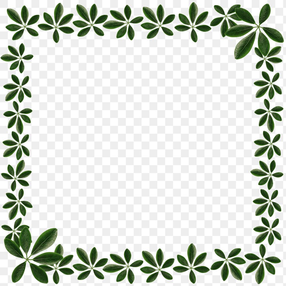 Green leaves square frame design element