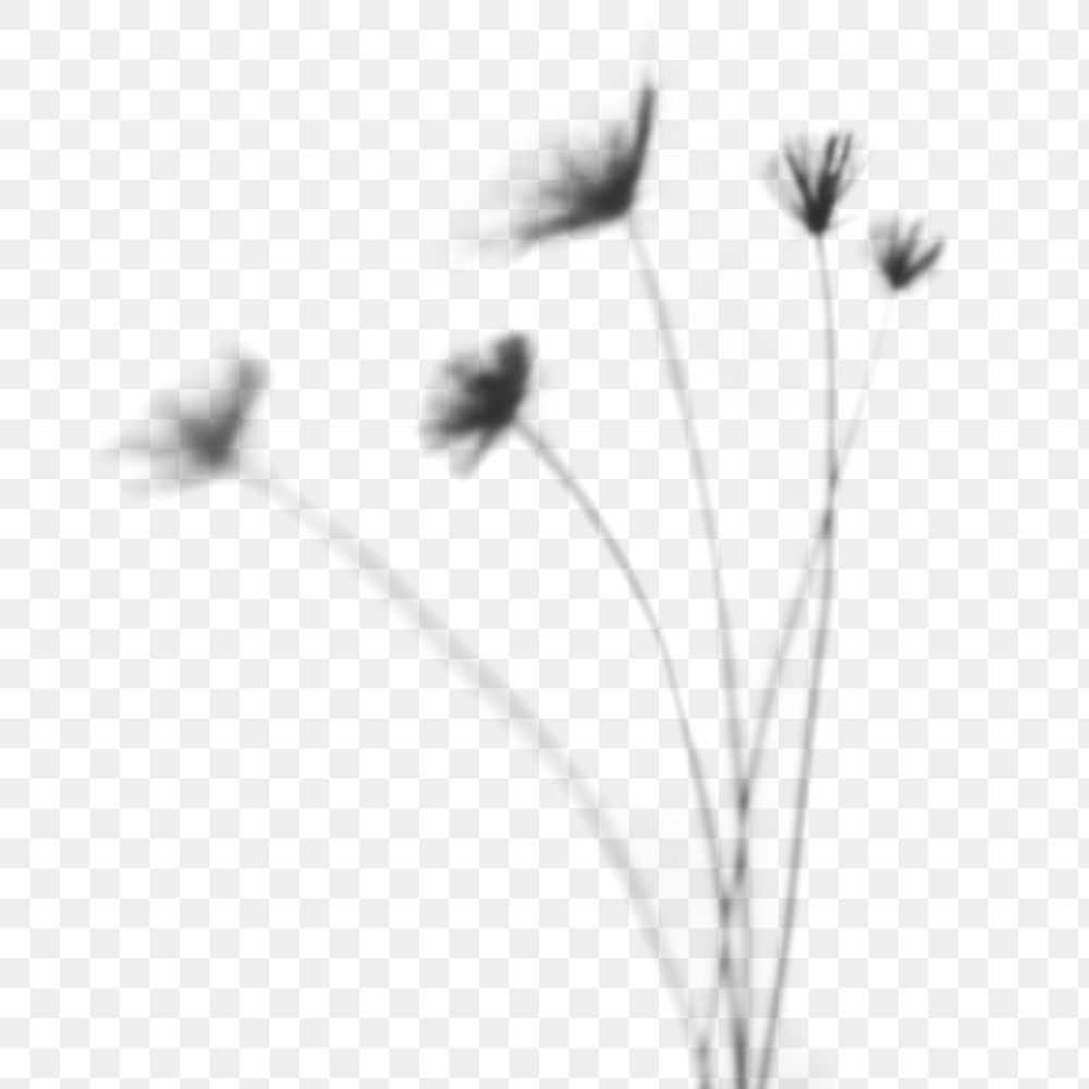 Shadow of papyrus plant design element