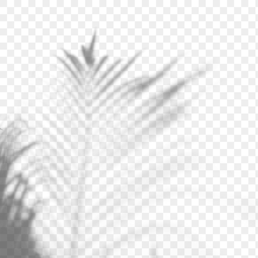 Shadow of palm leaves design element