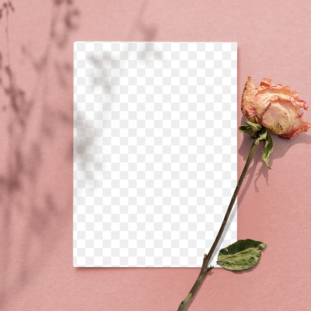 Blank paper with dried rose on a pink background design element