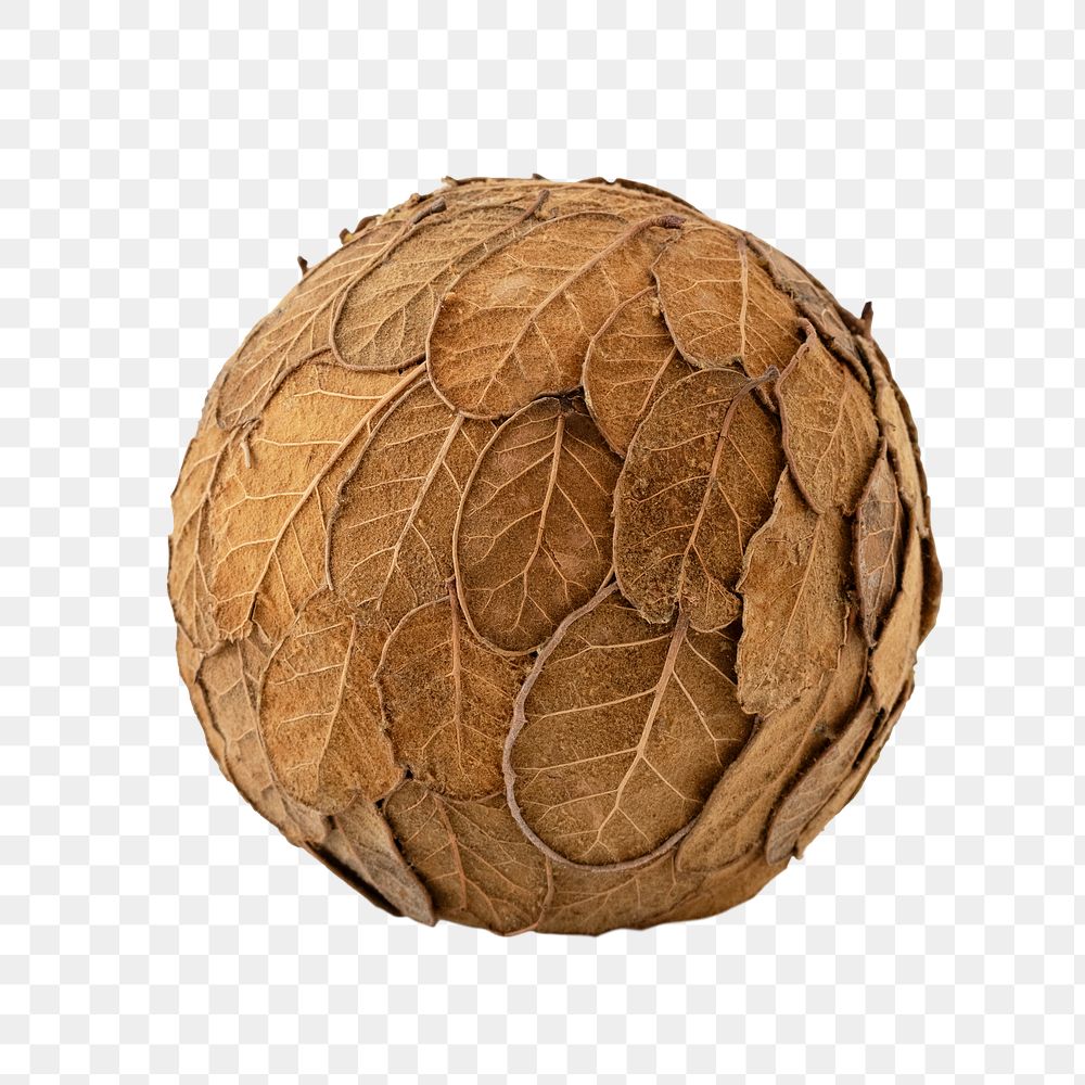 Dried  leaves overlay decorative ball design element
