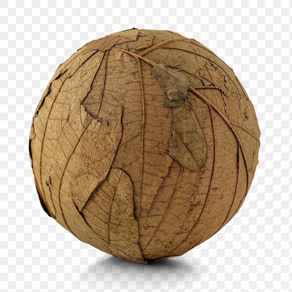 Dried leaves overlay decorative ball design element