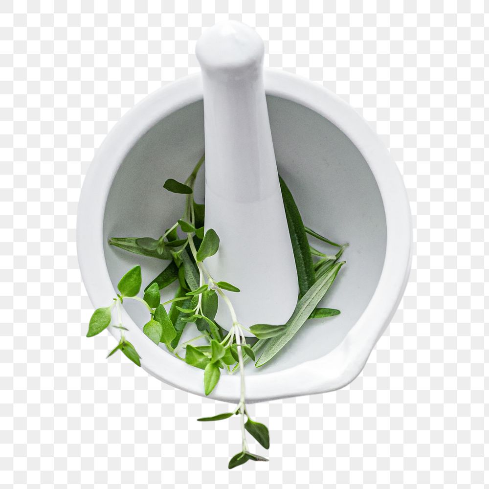 Rosemary and thyme png in mortar