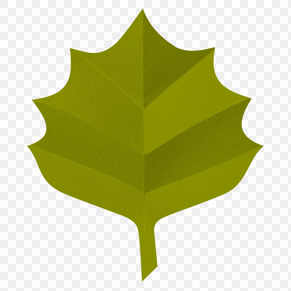 Aspen leaf png mockup in paper | Free PNG Sticker - rawpixel