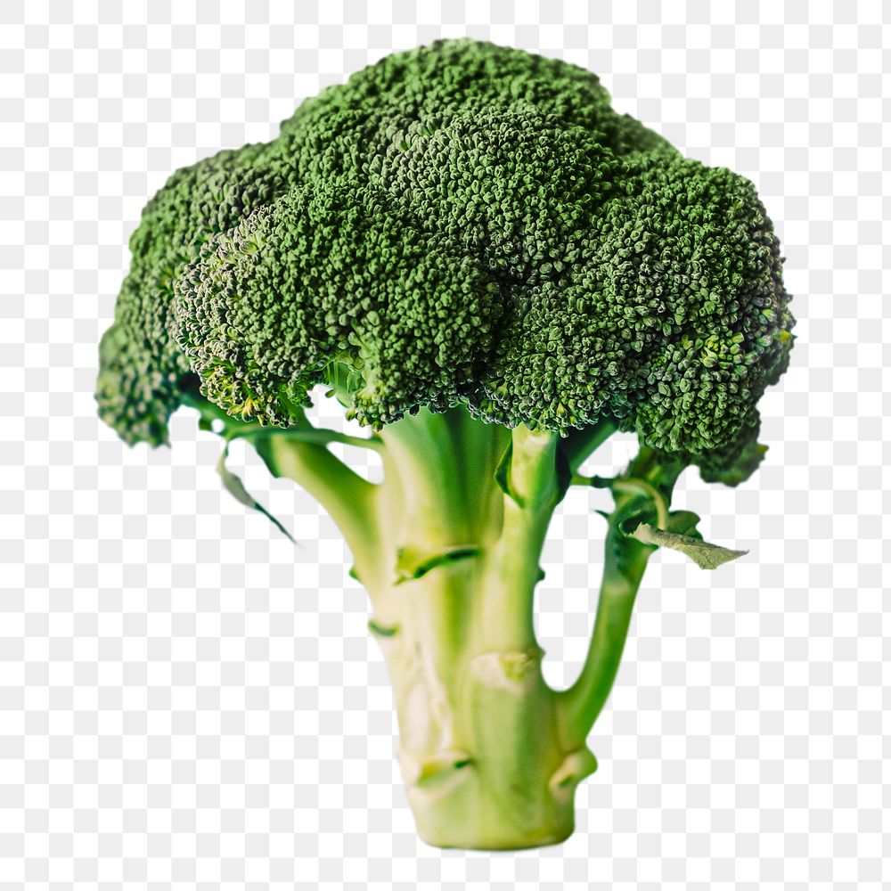 Broccoli png clipart, organic vegetable, healthy diet