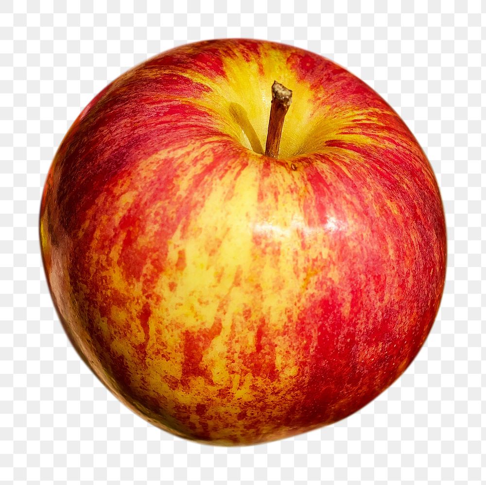 Red apple png, fruit, transparent background