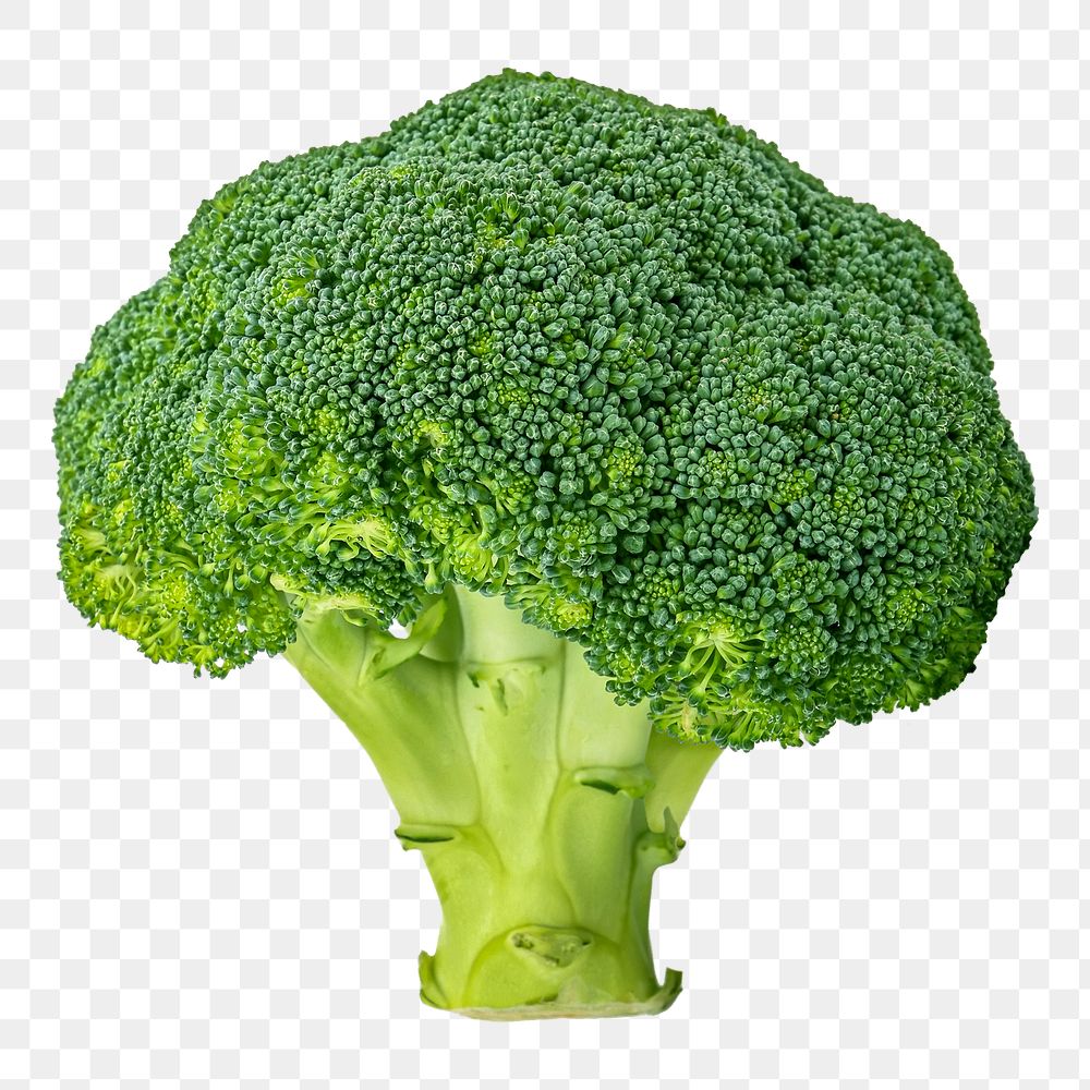 Broccoli png clipart, organic vegetable, healthy diet