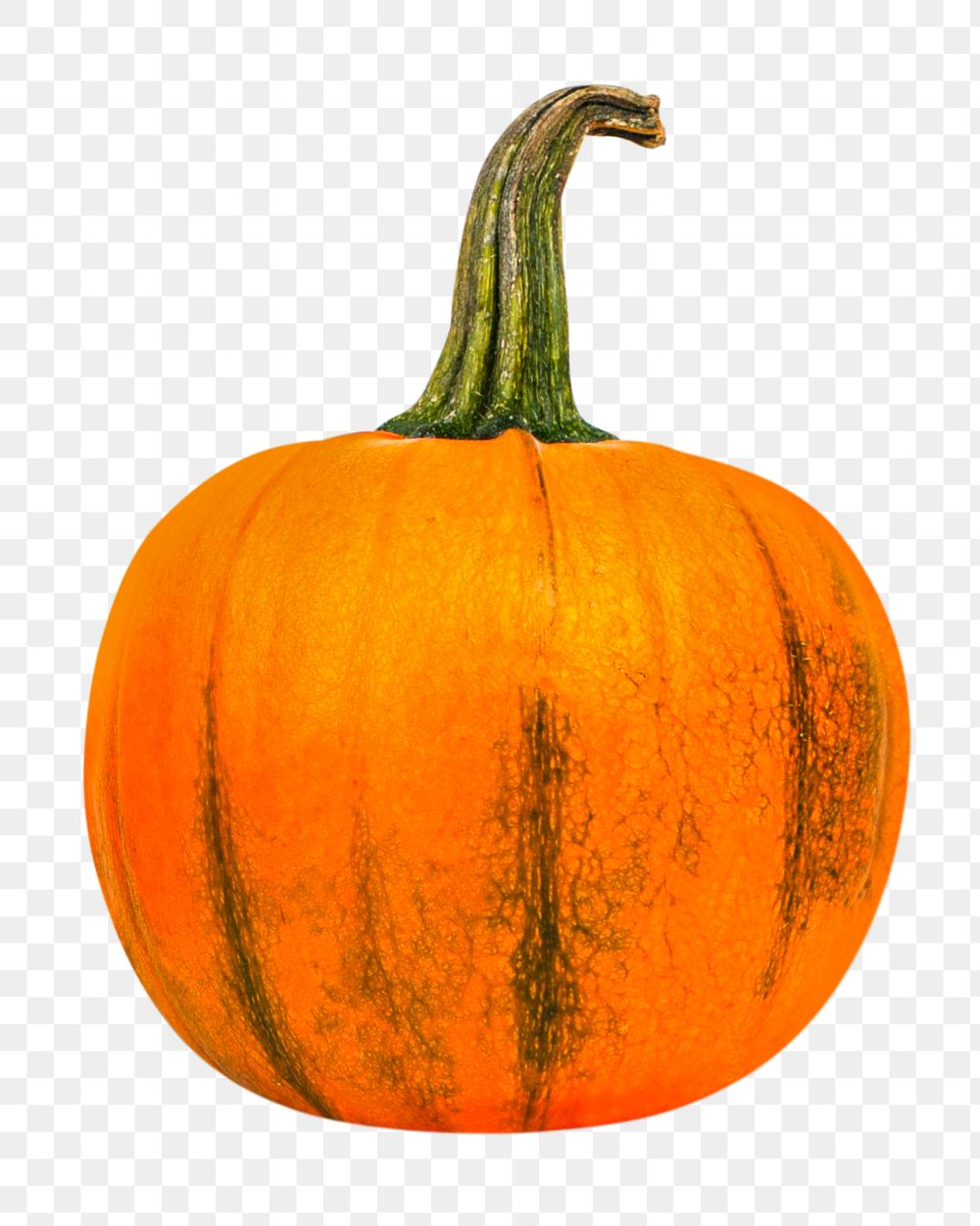 Halloween pumpkin png clipart, organic vegetable
