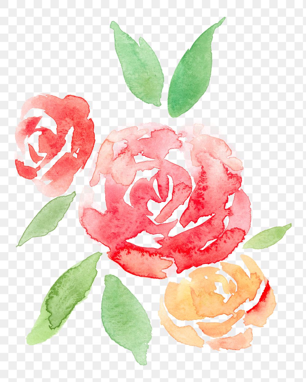 Pink png rose flower watercolor spring seasonal graphic