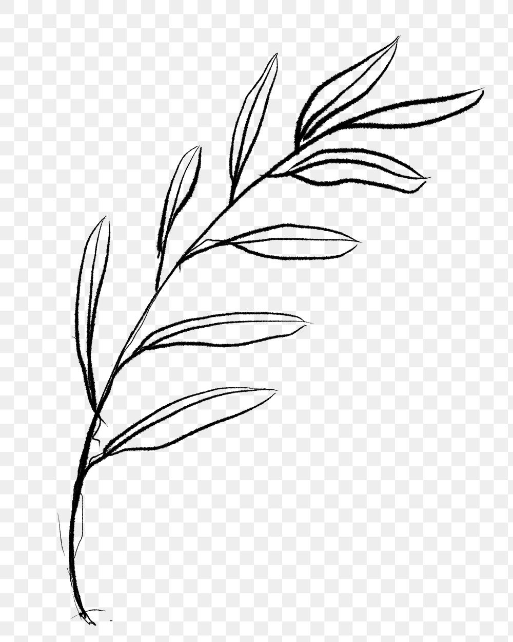 Png leaf sticker, aesthetic line Premium PNG Sticker rawpixel