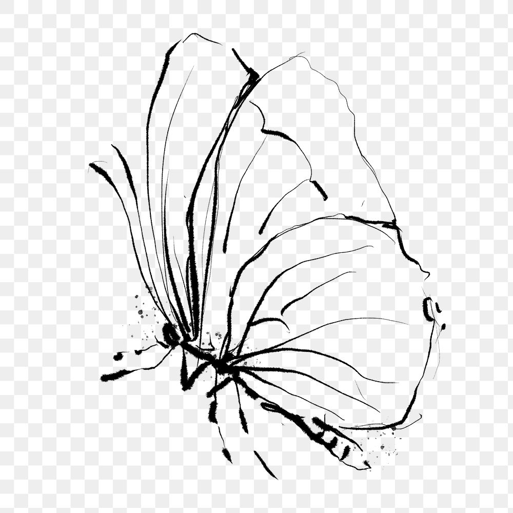 Png butterfly sticker, aesthetic line art illustration, remixed from vintage public domain images