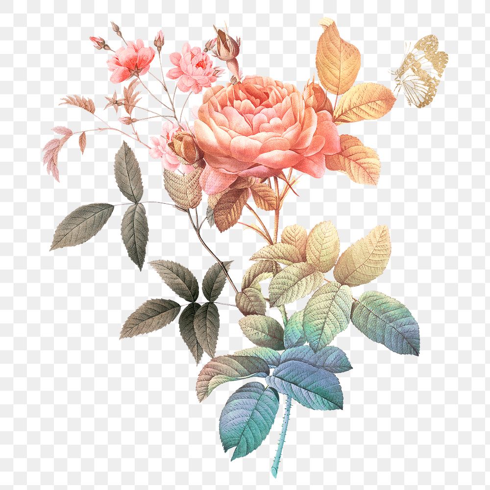Png flower aesthetic sticker, watercolor illustration, remixed from vintage public domain images