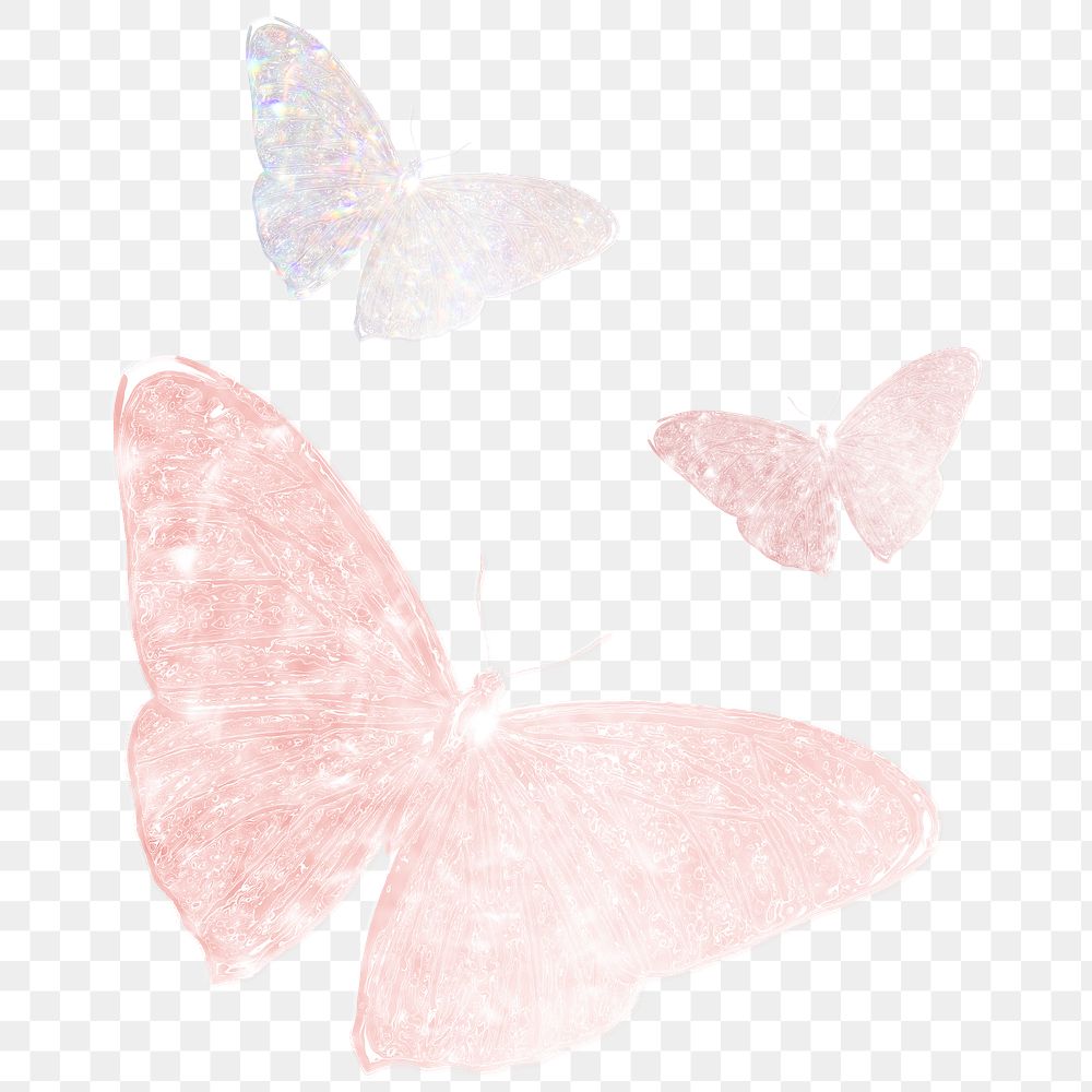 Png butterfly sticker, aesthetic illustration, remixed from vintage public domain images