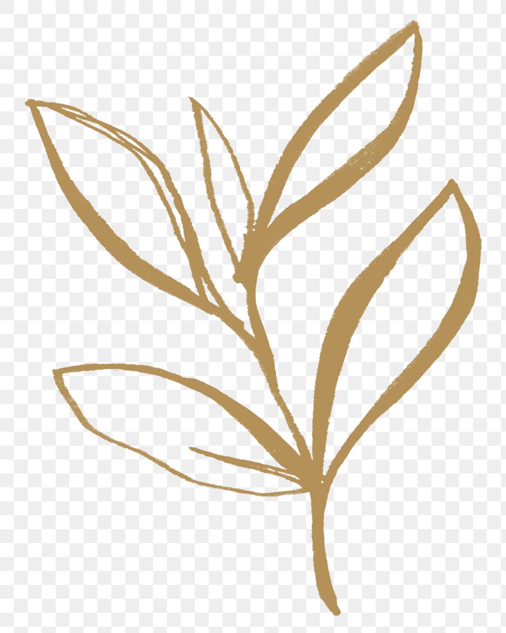 Png leaf aesthetic sticker, gold illustration, remixed from vintage public domain images