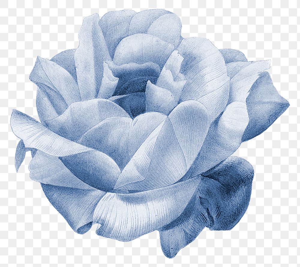 Floral png clip art watercolor, blue illustration, remixed from vintage public domain images