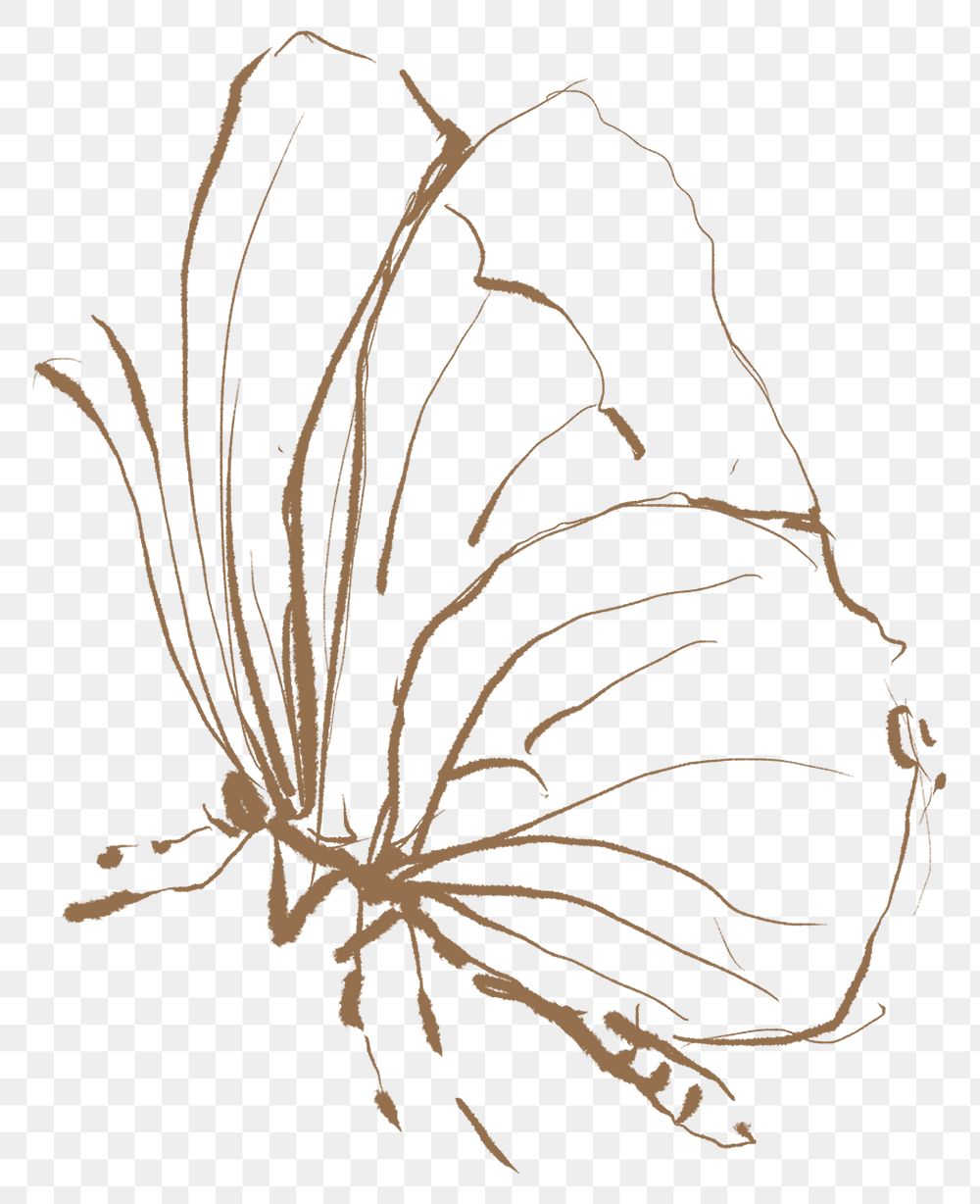 Png butterfly aesthetic sticker, gold illustration, remixed from vintage public domain images