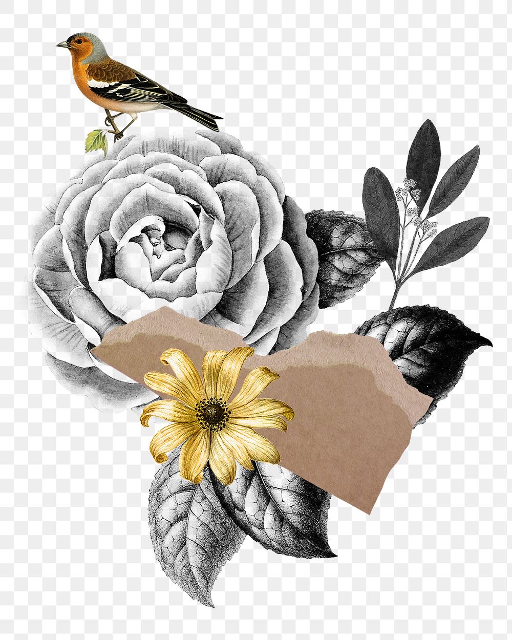 flower collage png vintage sticker free png rawpixel