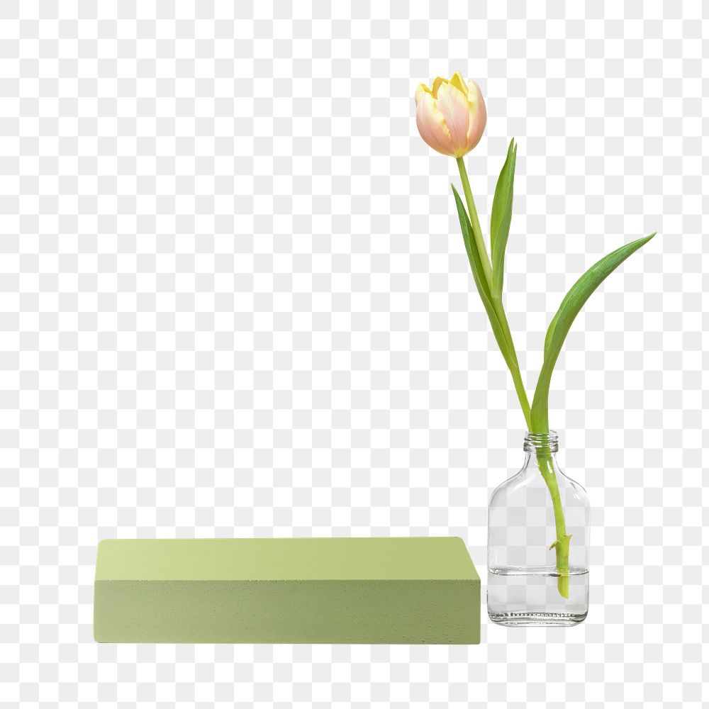 Flower png product display with tulip