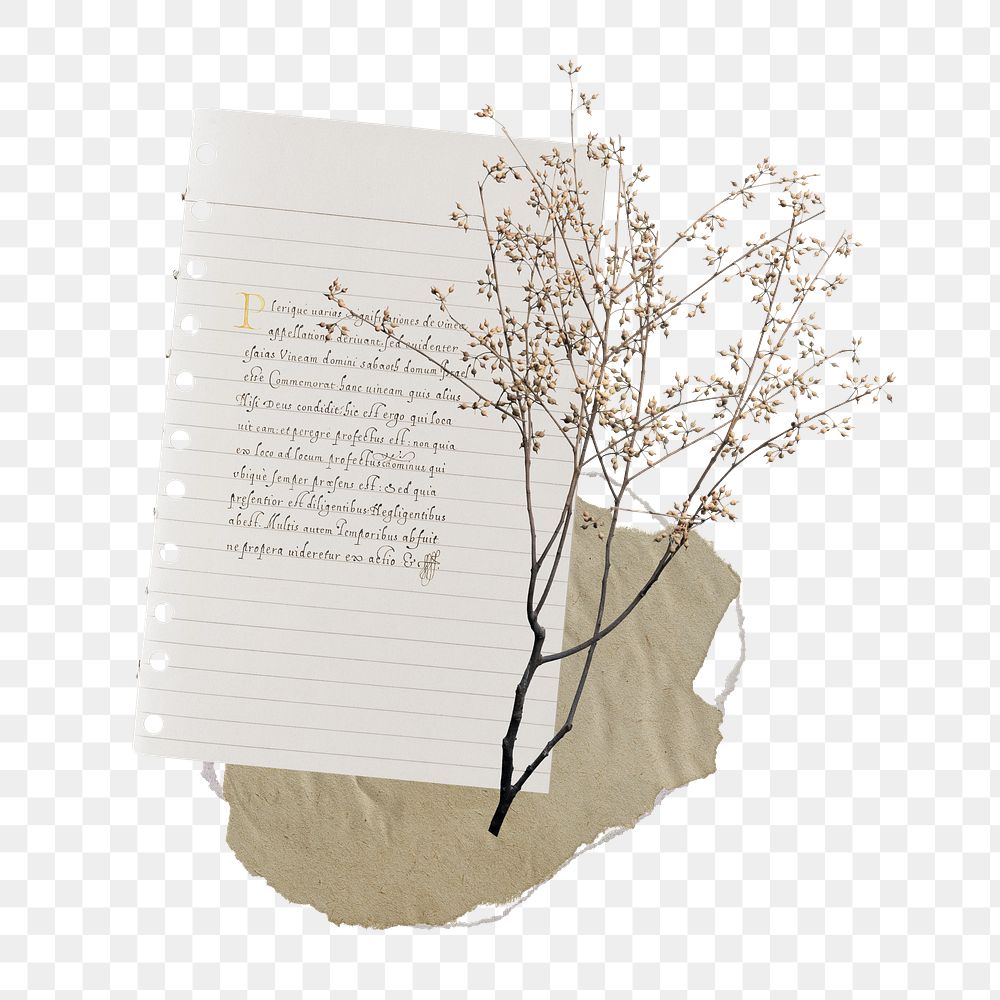 Autumn flower png journal sticker, aesthetic paper collage on transparent background
