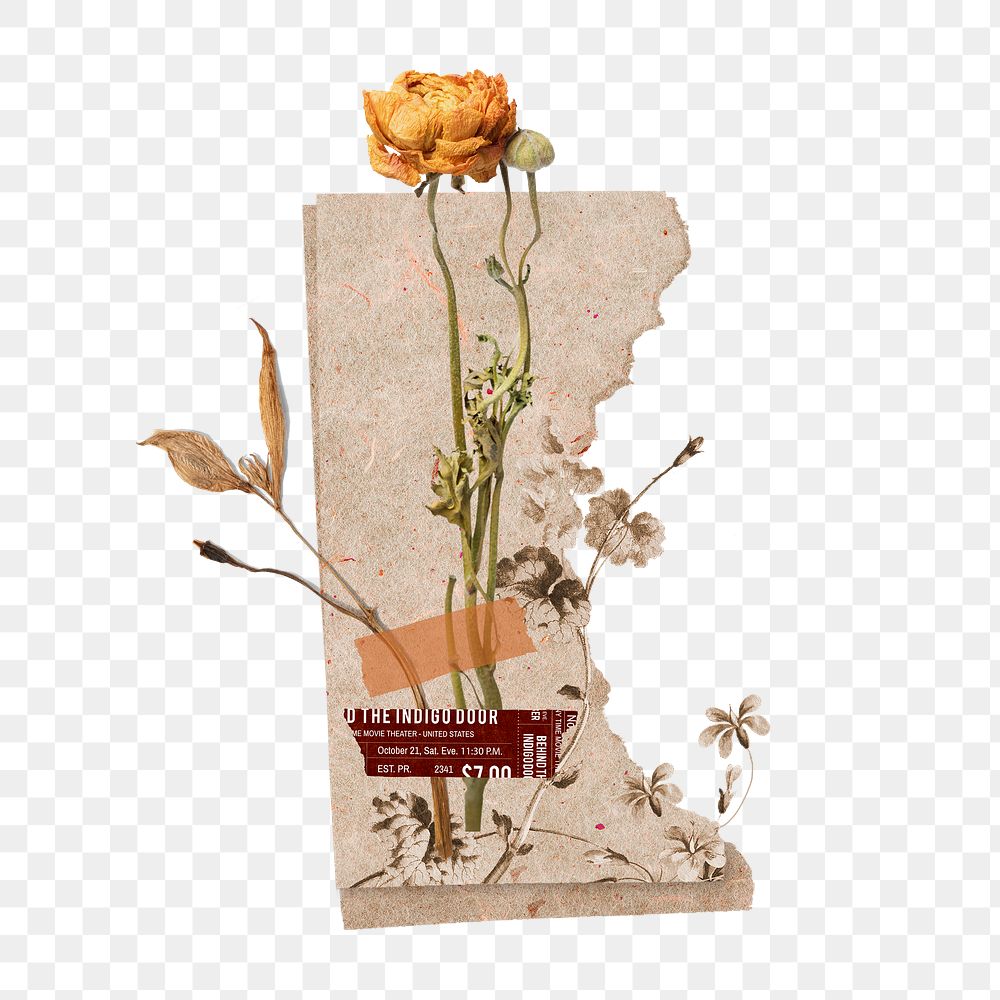 Dried rose png flower collage, Autumn aesthetic in vintage design on transparent background