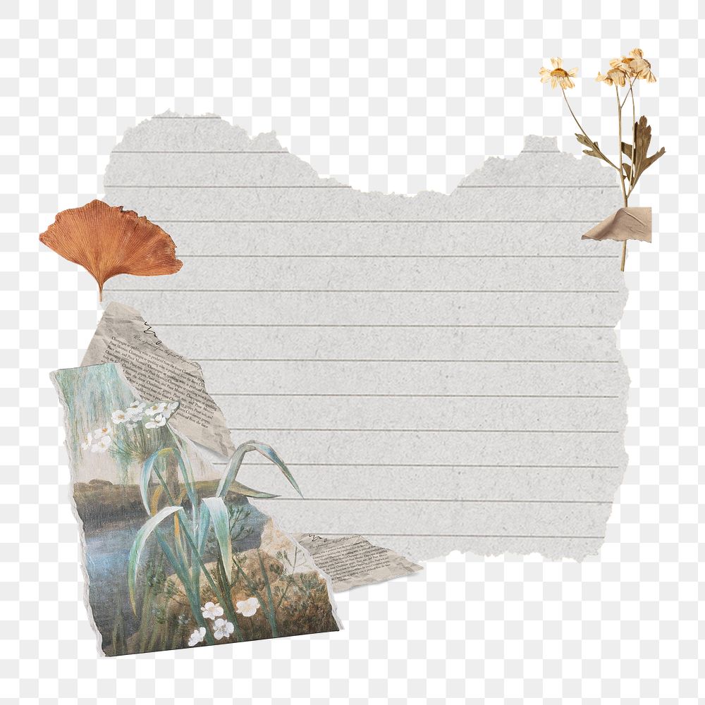 Gingo leaf png clipart, paper craft collage, Autumn aesthetic on transparent background