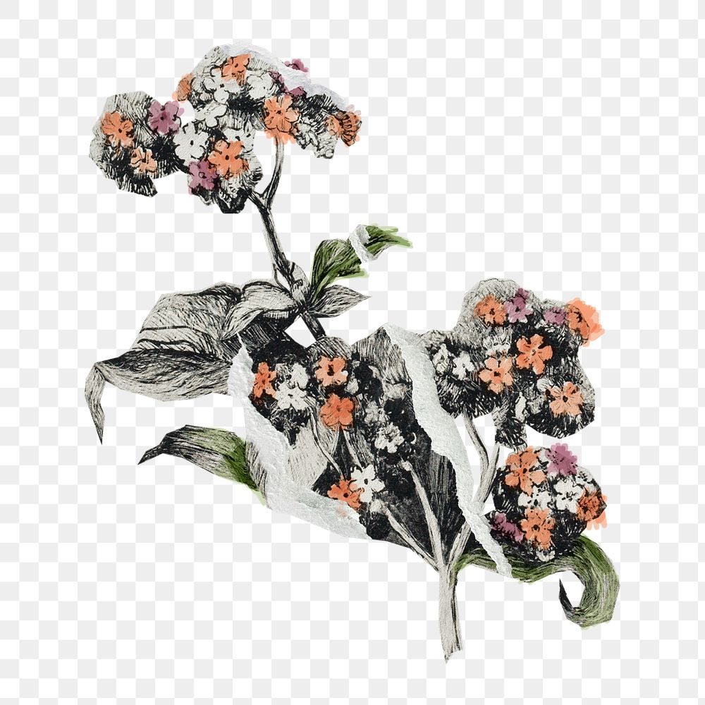 Vintage flower png paper craft element, scrapbook art on transparent background