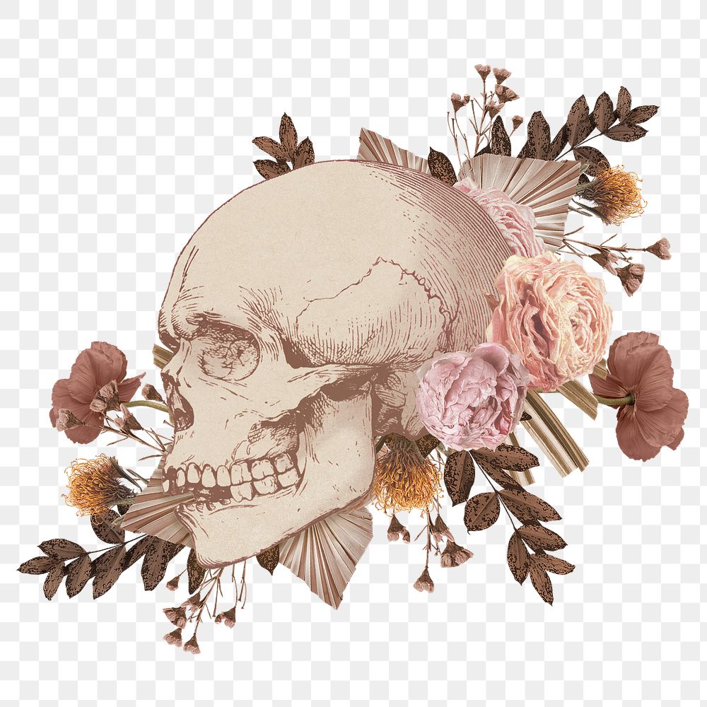Aesthetic skull png cut out, transparent background