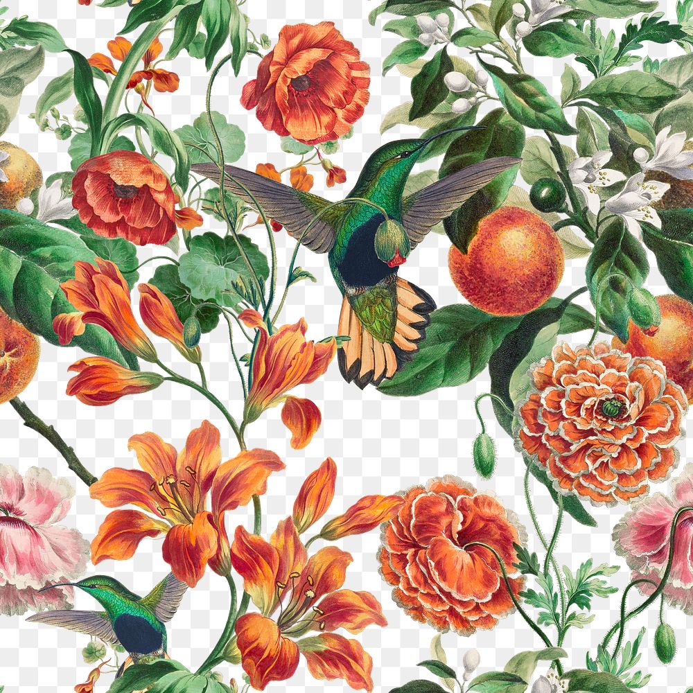 Botanical png pattern sticker, transparent background, remixed from original artworks by Pierre Joseph Redout&eacute;