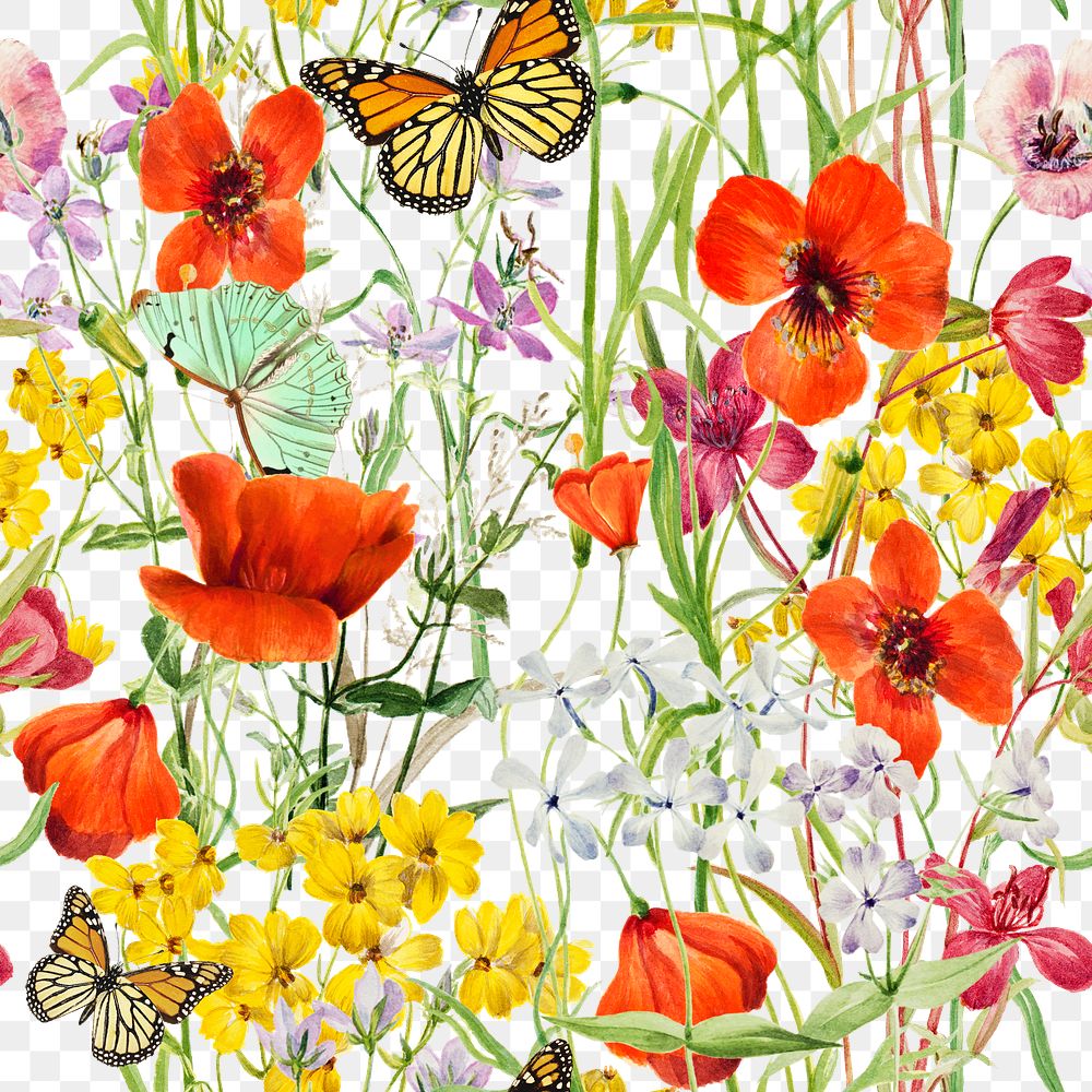 Botanical  png pattern clipart, transparent background, remixed from original artworks by Pierre Joseph Redout&eacute;