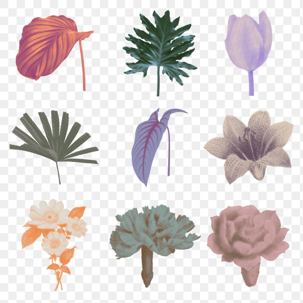 Botanical collage png sticker set, retro halftone colorful designs