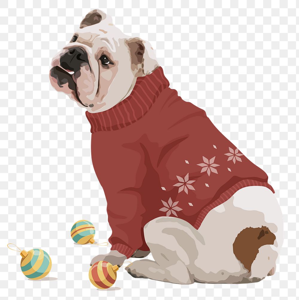 Christmas dog png sticker, English Bulldog on transparent background